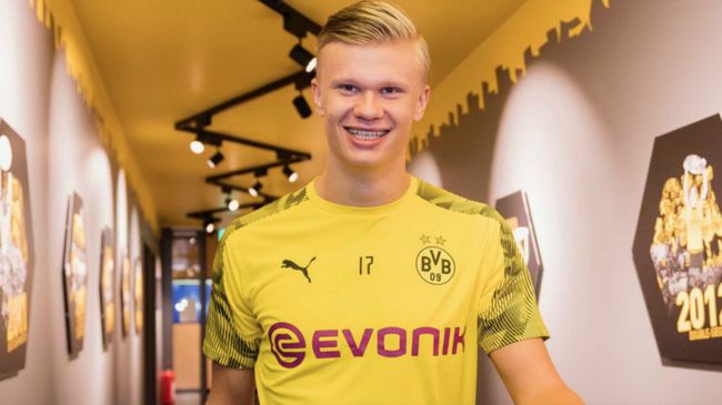 动的人才体 动的人才体