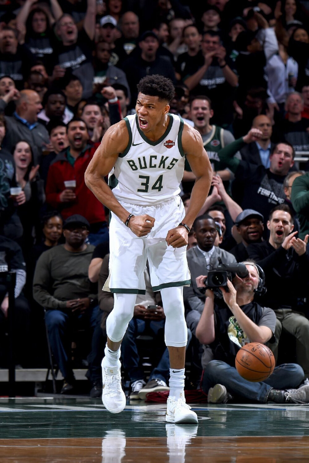 生活方式被 生活方式被